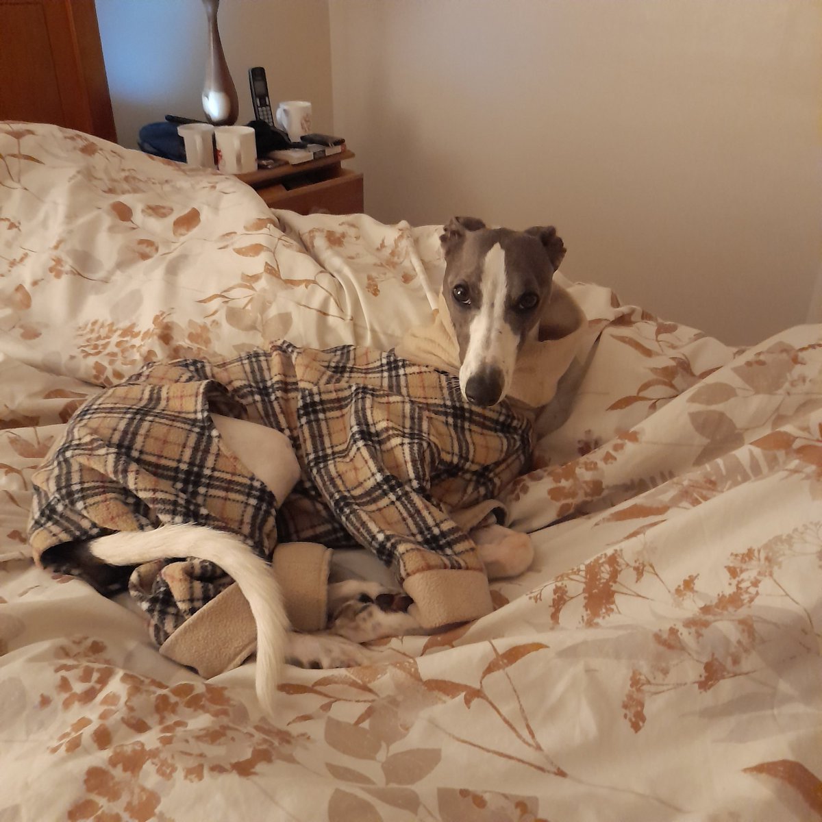 Pyjama party, anyone? I’ll bring the treats!
