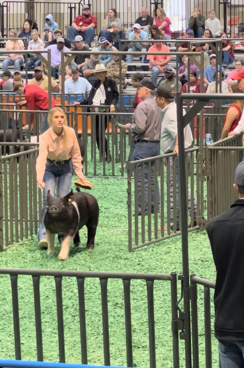 Shout out to Ava Spangler, Hayley Johnson 
and Elizabeth Moore for exhibiting their market hogs at HLSR! Congratulations Elizabeth on your 5th place Class 1 Hampshire!