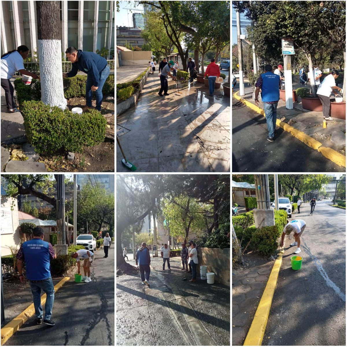 MHGOByJ's tweet photo. Realizamos jornada de limpieza y balizamiento en #PaseodelaReforma y Ferrocarril de Cuernavaca en la colonia #LomasdeChapultepec.
Es un trabajo coordinado entre comerciantes y gobierno.

Trabajamos juntos para preservar nuestros espacios públicos limpios. https://t.co/hfJ8cl8IRb