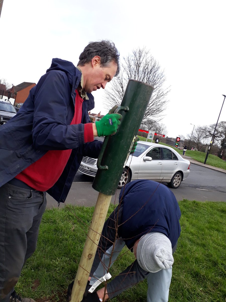 fruitnutvillage's tweet photo. We've been working hard at #BritfordOrchard #Maypole today. 14 trees now growing there. #PlantATreeIn23. #FruitAndNutVillage #DruidsHeath.  #AnnieElizabethApple #PennyCherry #Cherrycot #Gage #ConcordePear https://t.co/sXvKlaoUyt