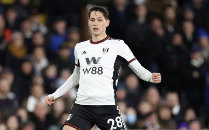 FulhamFanNews tweet media