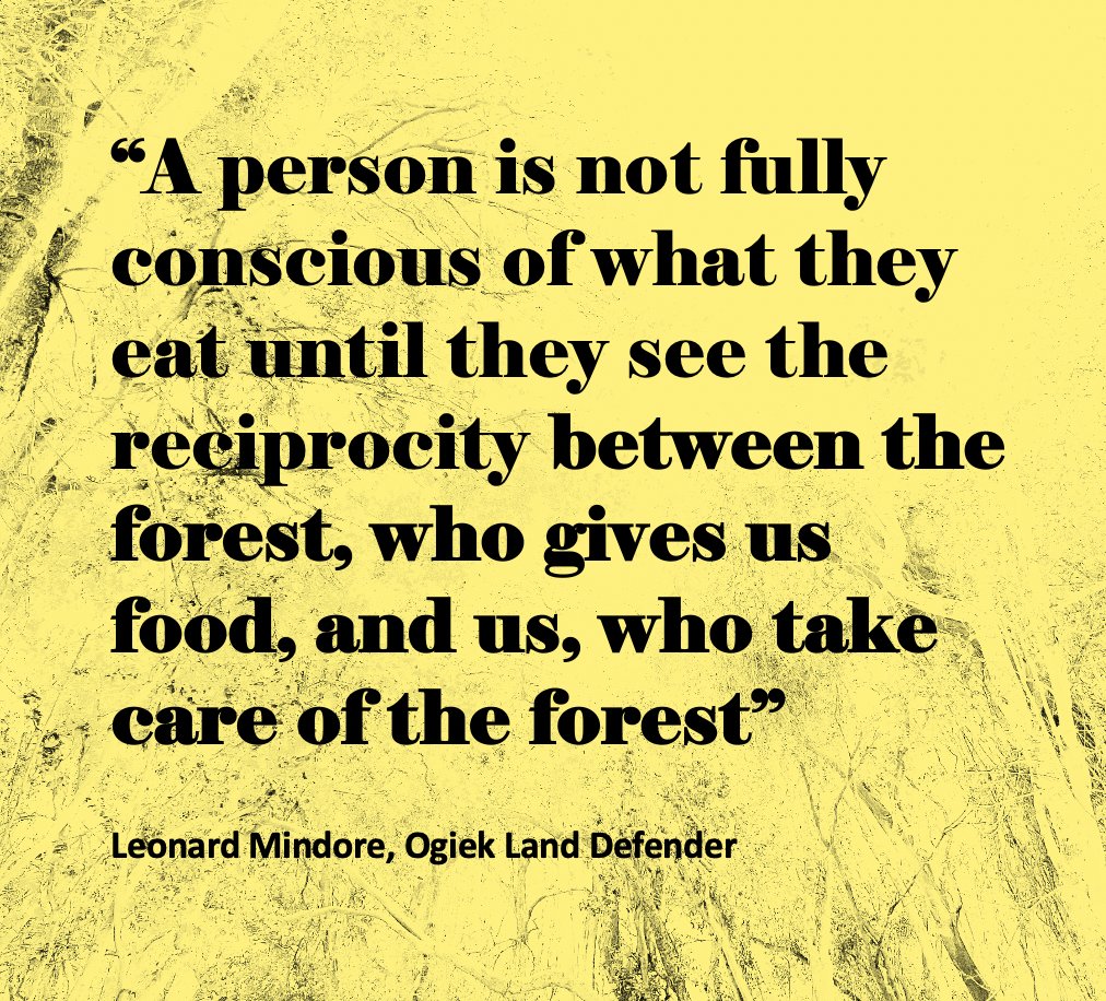 Guardians Worldwide (@guardiansww) on Twitter photo "Food Consciousness Course" led by @vandanashiva1 with indigenous forest leaders from Kenya, Brazil, India.
Starts May 3.
Pay what you want.
Donations will support <a href="/LMindore/">Leonard Mindore</a> forest regeneration project in Mau Forest, Kenya.
Register Now: guardiansworldwide.org/giving "Food Consciousness Course" led by @vandanashiva1 with indigenous forest leaders from Kenya, Brazil, India.
Starts May 3.
Pay what you want.
Donations will support <a href="/LMindore/">Leonard Mindore</a> forest regeneration project in Mau Forest, Kenya.
Register Now: guardiansworldwide.org/giving