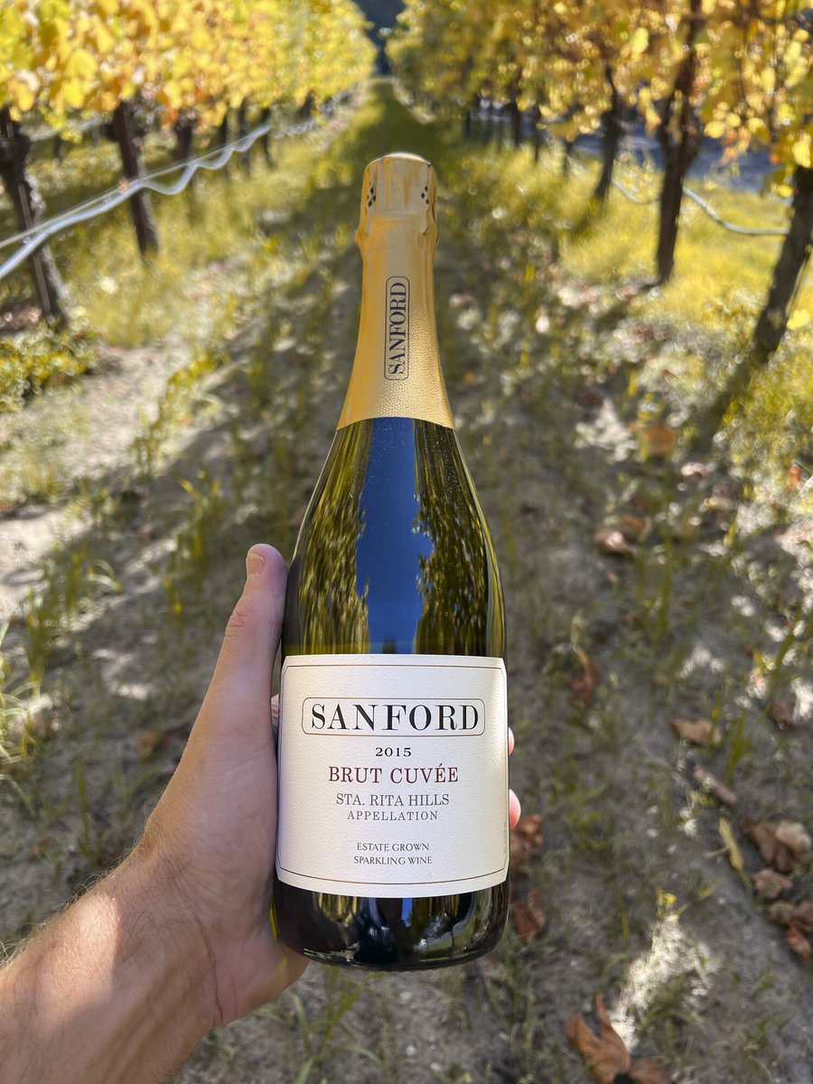 Trust us, if you love Champagne, you’re in for a surprise! 94 points, Over 50% off, from a historic Cali-producer… #sanfordchampagne #champagne #sparkling #bubbly #drinkmorebubbles #lastbubbles #wines #wino #napa #napacounty #linkinbio #winesale 🍾🍾🍾