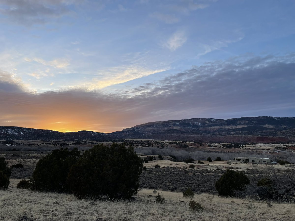 Matthew Cruickshank tweet media