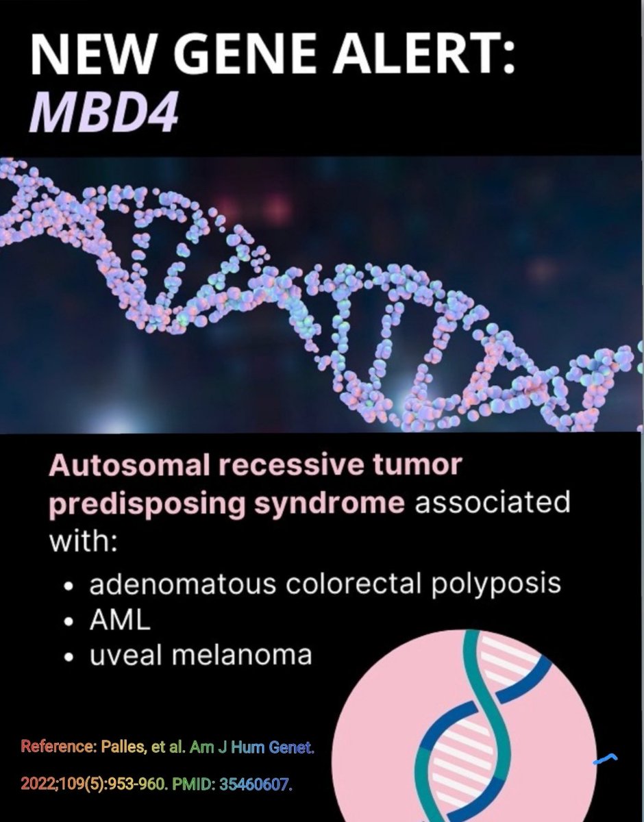 DrAmirAAhmed9's tweet photo. https://t.co/jgvusOng8j
#kccc #moleculargenetic #Cancer #CancerAwareness #colorectalcancer #ColorectalCancerAwarenessMonth #acutemyeloidleukemia #melanoma #MBD4 https://t.co/YoiqzzOyuL