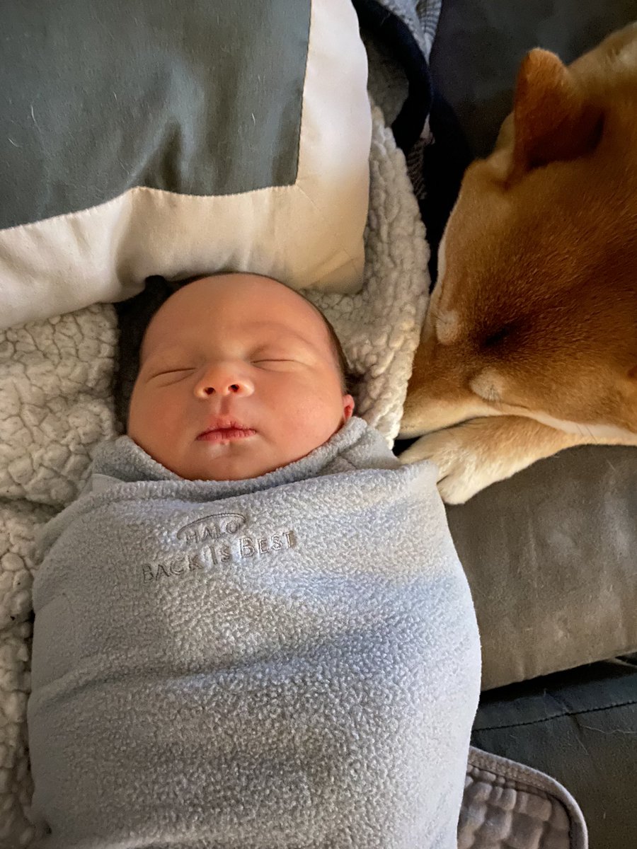 alijurod5's tweet photo. “Will you do me a small favor? Don’t forget to grow up and live happily ever after. Oh! And stay as sweet as honey. “ 
- Winnie the Pooh 💛🐝🍯￼

Arin Gabriel Peterson
03-09-23 
7:42pm 
7lbs 9oz🦖💚 https://t.co/YSfBojXgVf