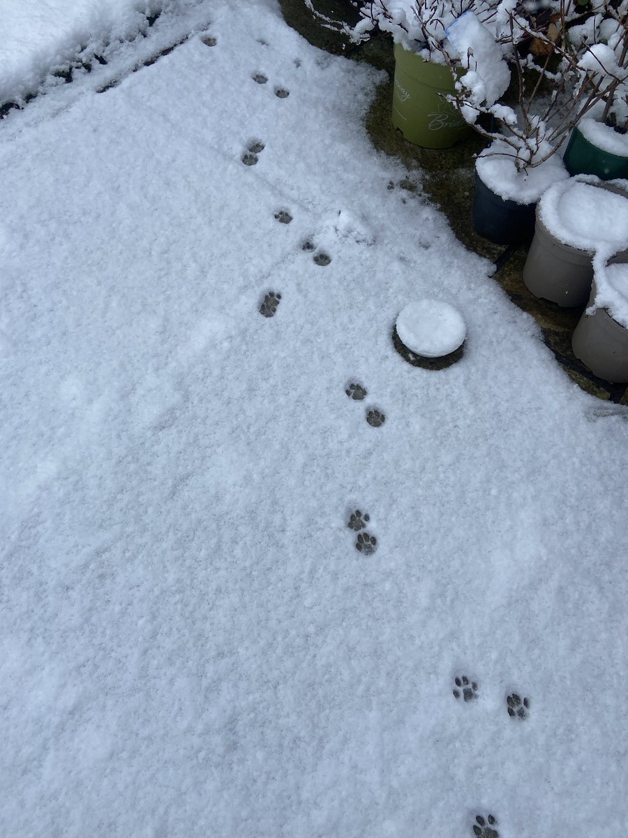 🐾📸🍃🫶🏼weekends