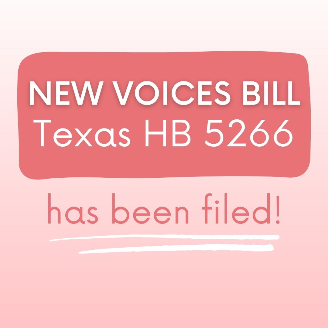 New Voices Texas tweet media