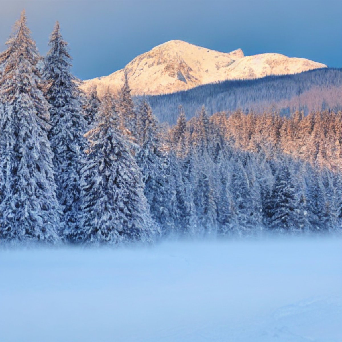 TinyWowCom's tweet image. Have you tried the TinyWow AI image generator? tinywow.com/image/ai-image… 

Some recently created photos: