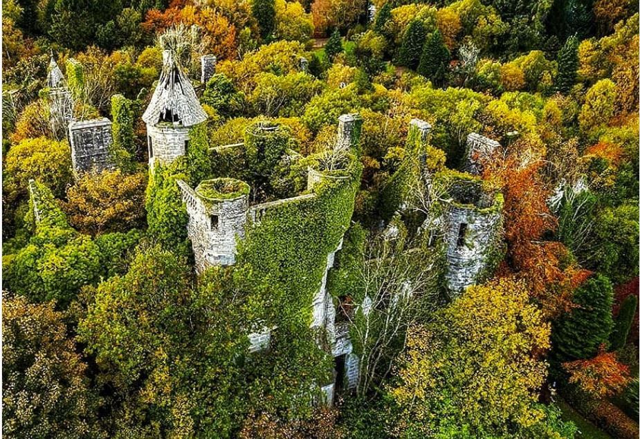HoganSOG's tweet photo. Mother nature always has the last word. Buchanan Castle, Stirlingshire, Scotland. NMP. https://t.co/G6XigyqISH