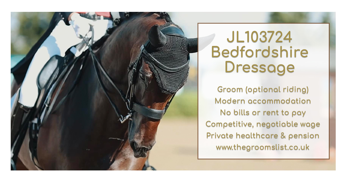 grooms_list's tweet photo. JL103724 Bedfordshire - Live in or out Team Dressage Groom/Rider (optional). FamilyYard
https://t.co/Q1P3w7LMcm
#thegroomslist #dressage #equinejobs #equinecareers #jobs #Vacancies #horses #workwithhorses #equinestaff #equinerecruitment #recruiting #findwork #findajob #jobvacancy https://t.co/XPJ6o9Mj1X
