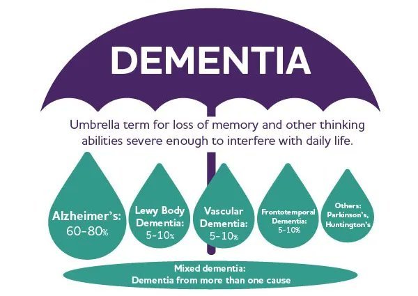 DeborahDian's tweet photo. What do you know about the different types of dementia ... vascular dementia, Alzheimer's, etc.? Did you know your actions today could make dementia more likely as you age? Learn more.
https://t.co/BGlQRkgjPE
#cognitiveprocess #dementia #Alzheimers #aging #brain https://t.co/7wCEjVXfQj