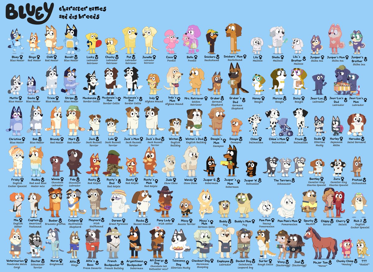 I made a compilation of #Bluey characters. This list includes name, gender and dog breed.