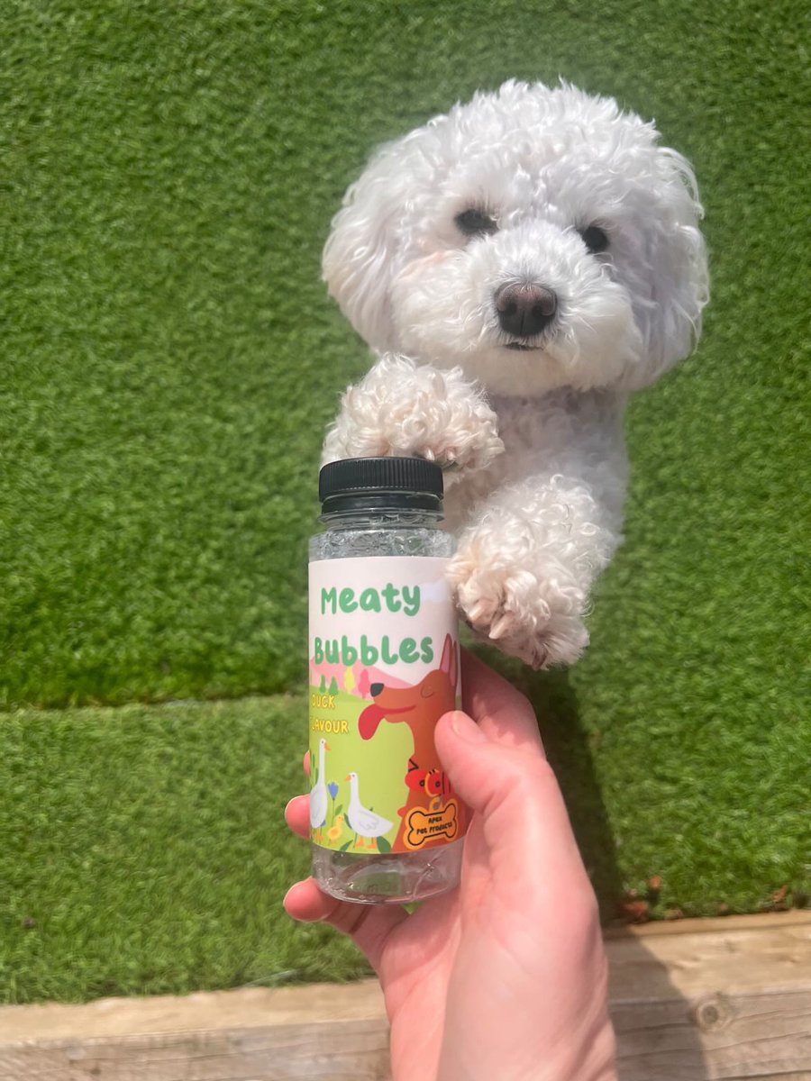 KJ4YNE's tweet photo. @meatybubbles for #dogs &amp; #Cats their page on IG alone is enough to bring you happiness looking at all the cute dogs and cats! #brandingonpoint not only that their product is genius my dog loves them! Featured dogs: IG The Frenchie Diaries /Billie Cavapoo / Rosie &amp; Ivy Cockapoos https://t.co/jlfurT2aAE
