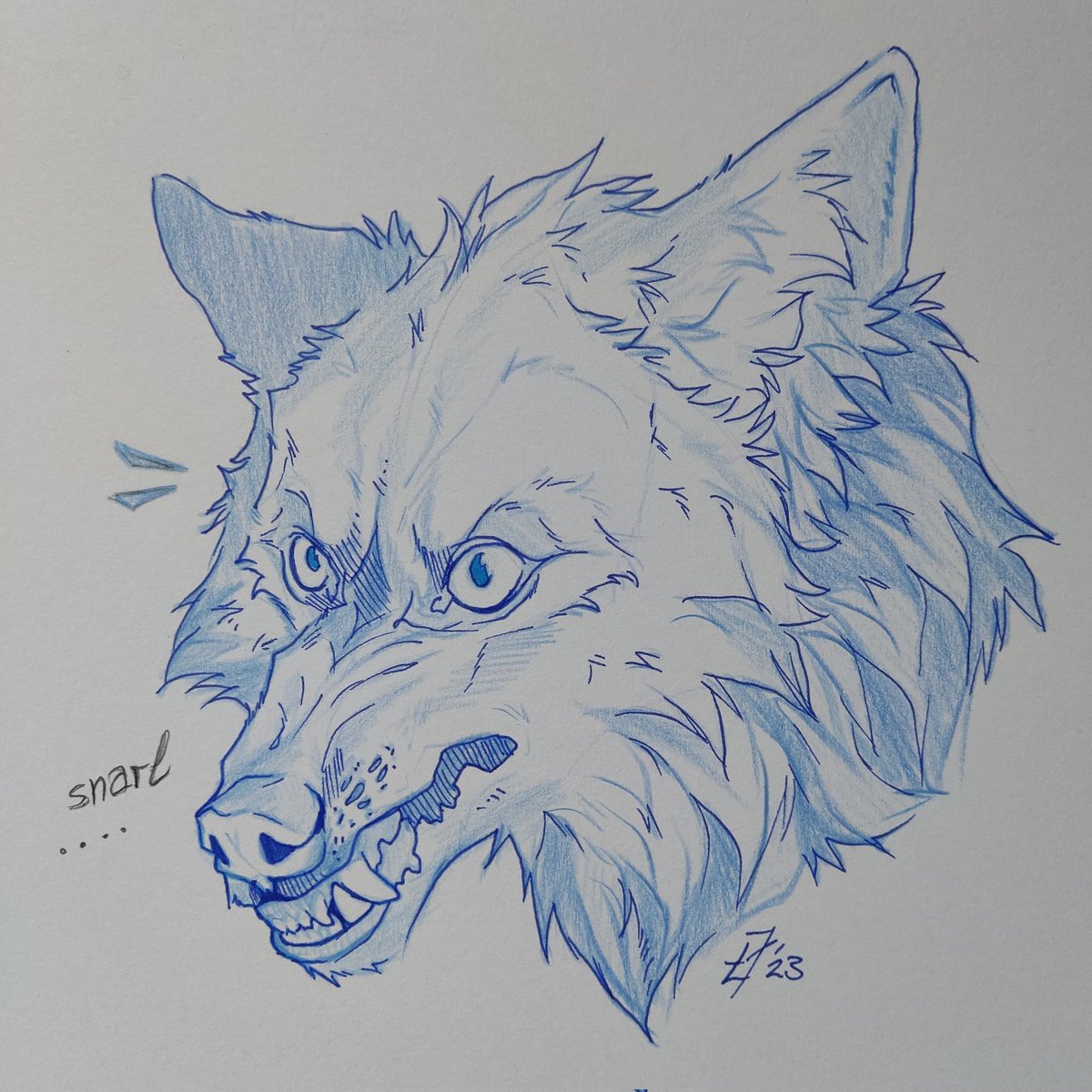 technifurs's tweet photo. Today's warm-up sketch!
#anthroart #furryart #snarlingwolf #wolf https://t.co/8TFlcGatDf