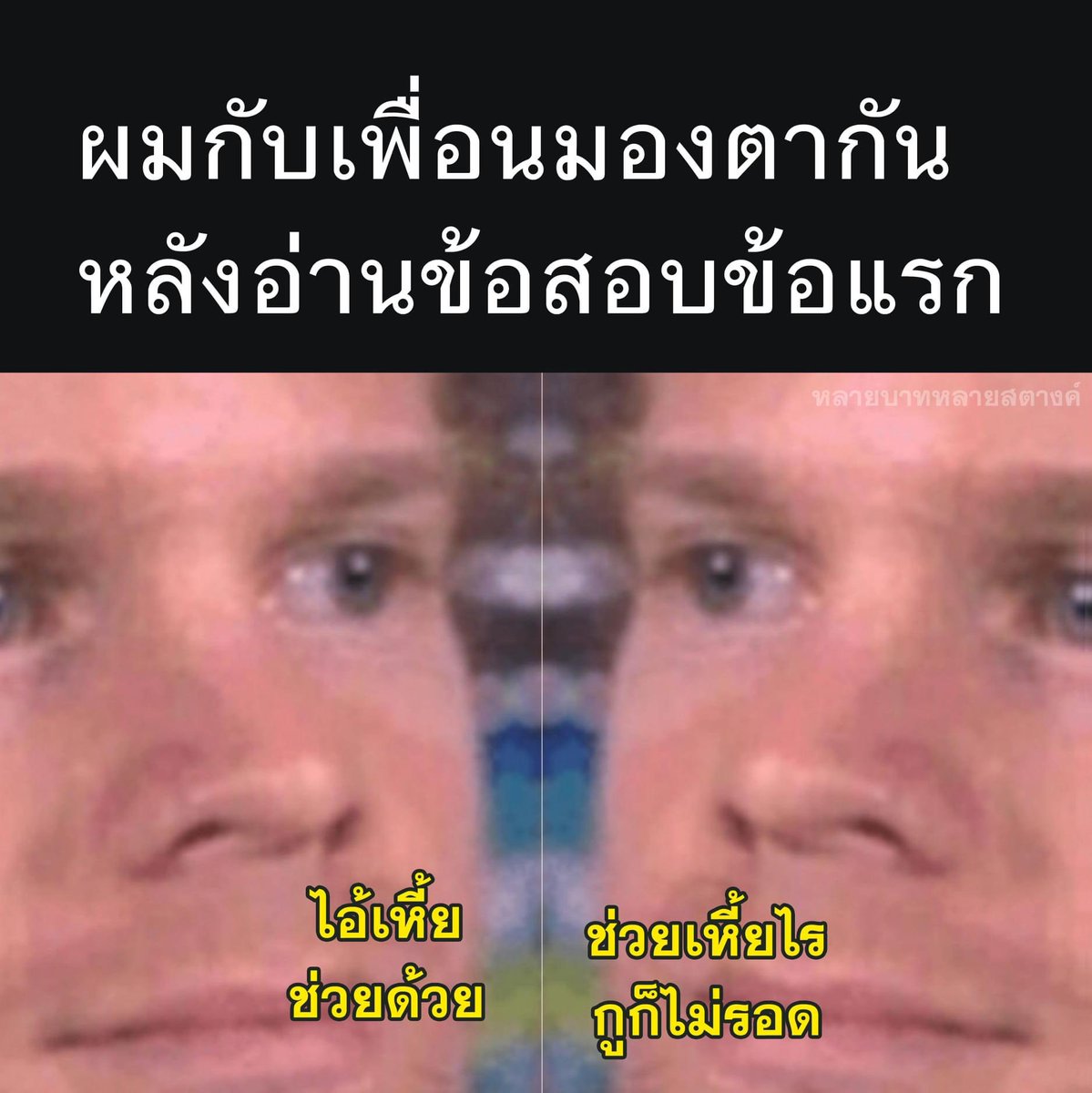ช่างแม่ง🐰🏳️‍🌈 tweet media