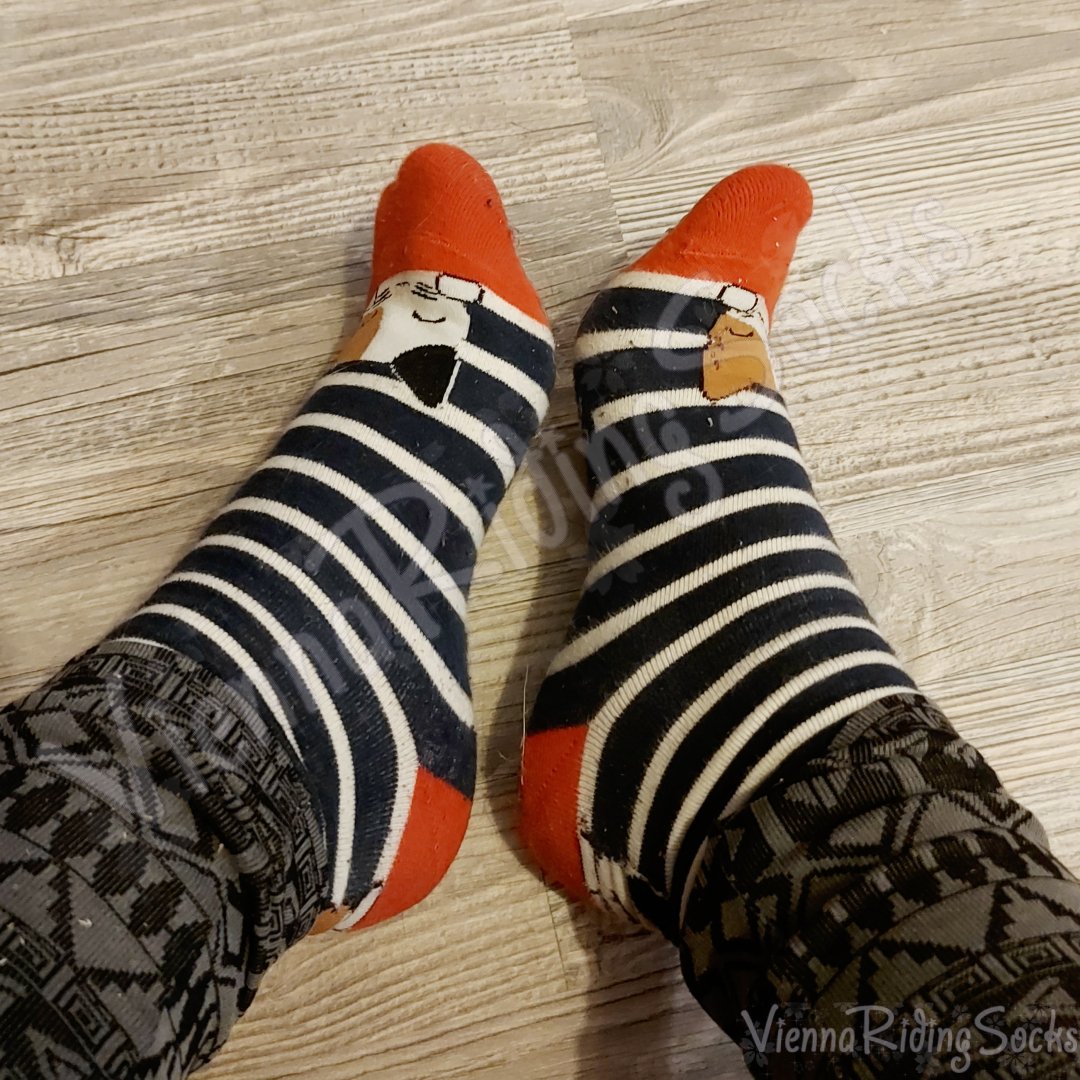 ViennaSocks4U's tweet photo. My kitty socks are by far the most comfortable socks and so cute as well! 😍
- Quinny
Full bundle 🔗 in bio! 💙

🦶💙🦶💙🦶
#footfetish #socken #girltoes #füße #fußsklave https://t.co/oqo4EIEsne