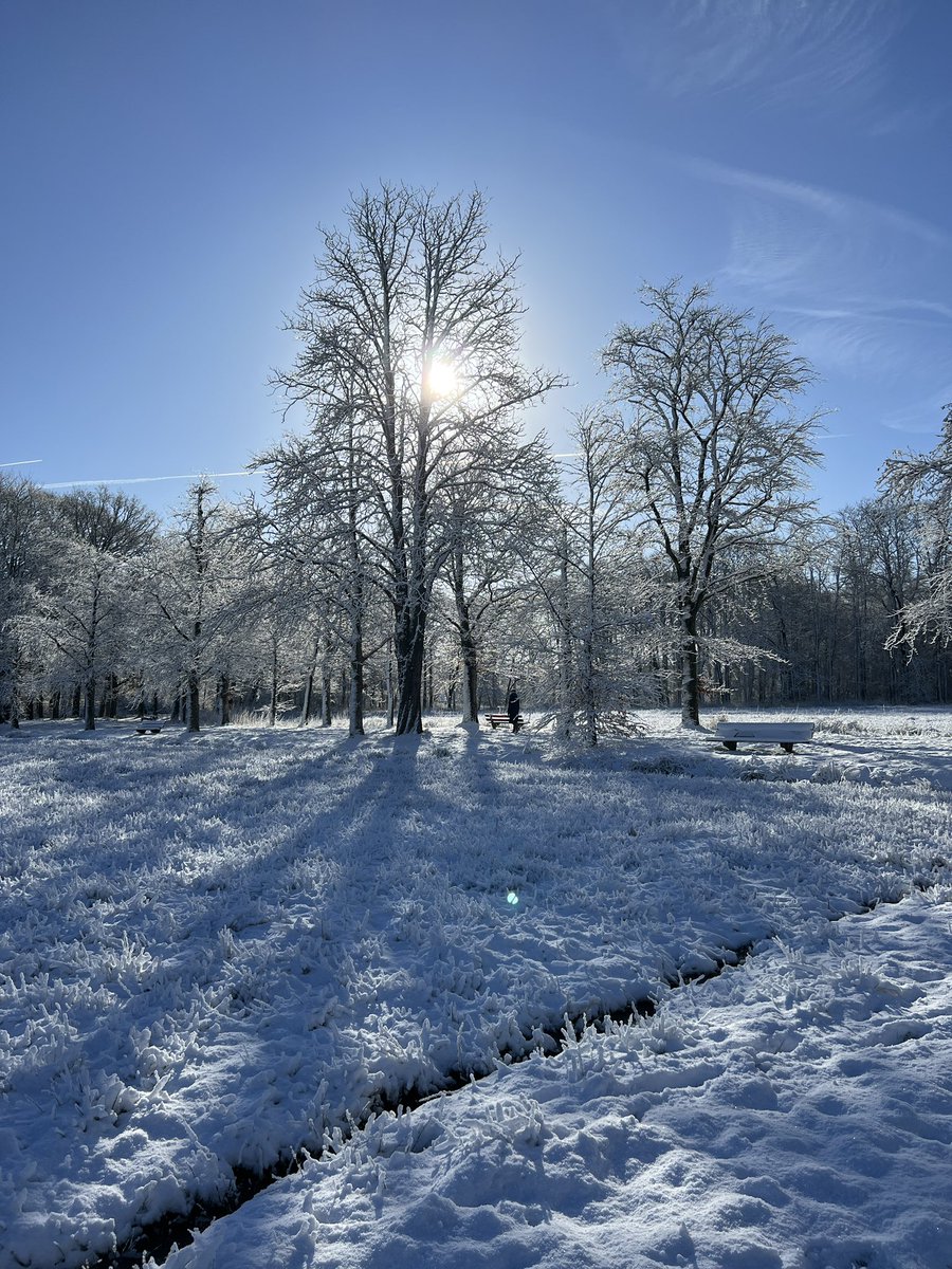 Siems69's tweet photo. Mijn weekend in beelden! #optjak #opstrûn #kopvandrenthe #noordenveld #nietap #natuurschoon https://t.co/gZaBF3YzxW