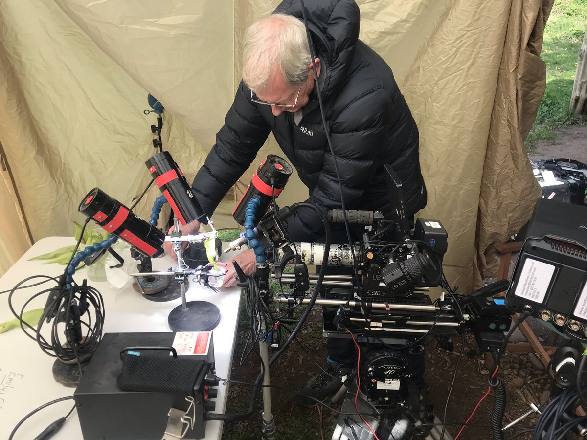 SamDuckerinRein's tweet photo. Thanks to the rest of the #WildIsles crew for their support, @JeffOllerton for the inspiration, Alastair MacEwen and Katie Mayhew on camera and to all the flies and flowers - the stars of the show! https://t.co/EqCKPflu0U