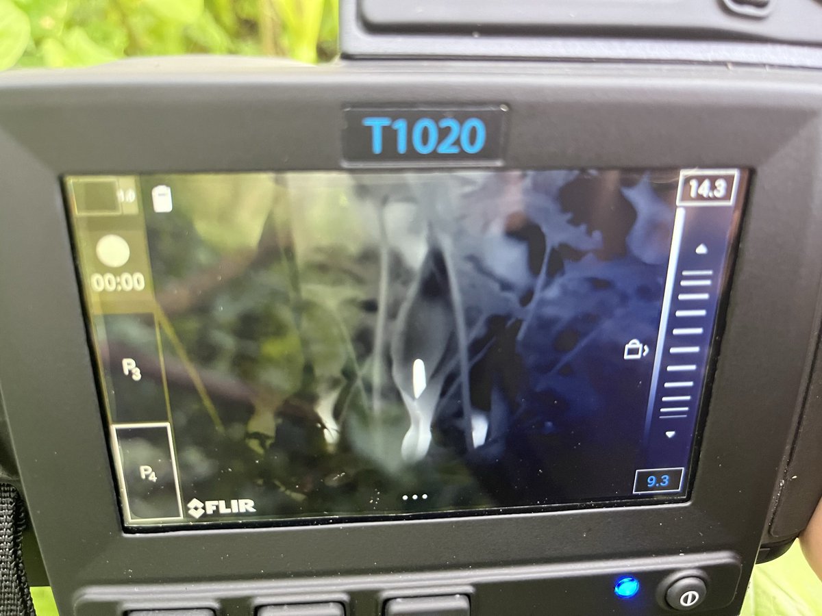SamDuckerinRein's tweet photo. Thanks to the rest of the #WildIsles crew for their support, @JeffOllerton for the inspiration, Alastair MacEwen and Katie Mayhew on camera and to all the flies and flowers - the stars of the show! https://t.co/EqCKPflu0U