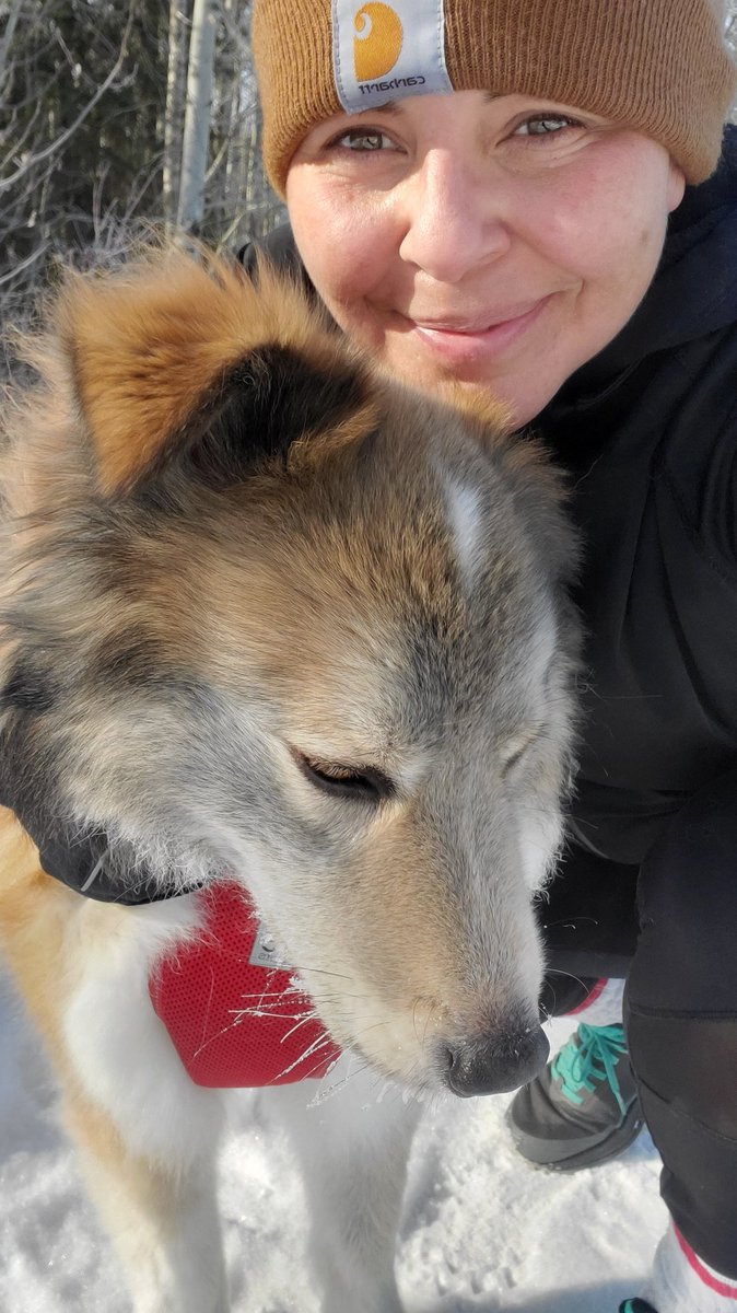 Mandoline79's tweet image. Sunshine makes me happy. ☀️
Tucker was annoyed I made him stop running for a picture. He only likes to stop when he needs to. Thems the rules. #runlife  #SundayRunday