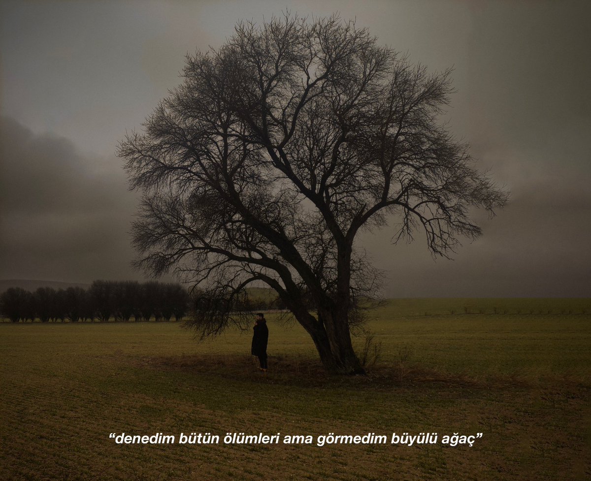 5hanghaii's tweet photo. denedim bütün ölümleri 
ama görmedim büyülü ağaç 
ezilmiş sevdaların giysileri https://t.co/hMtIhgjgRs