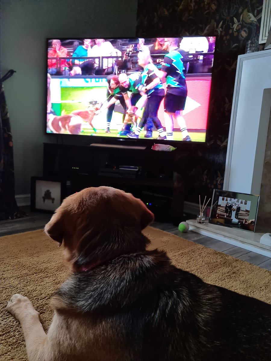 Gael Francis tweet media