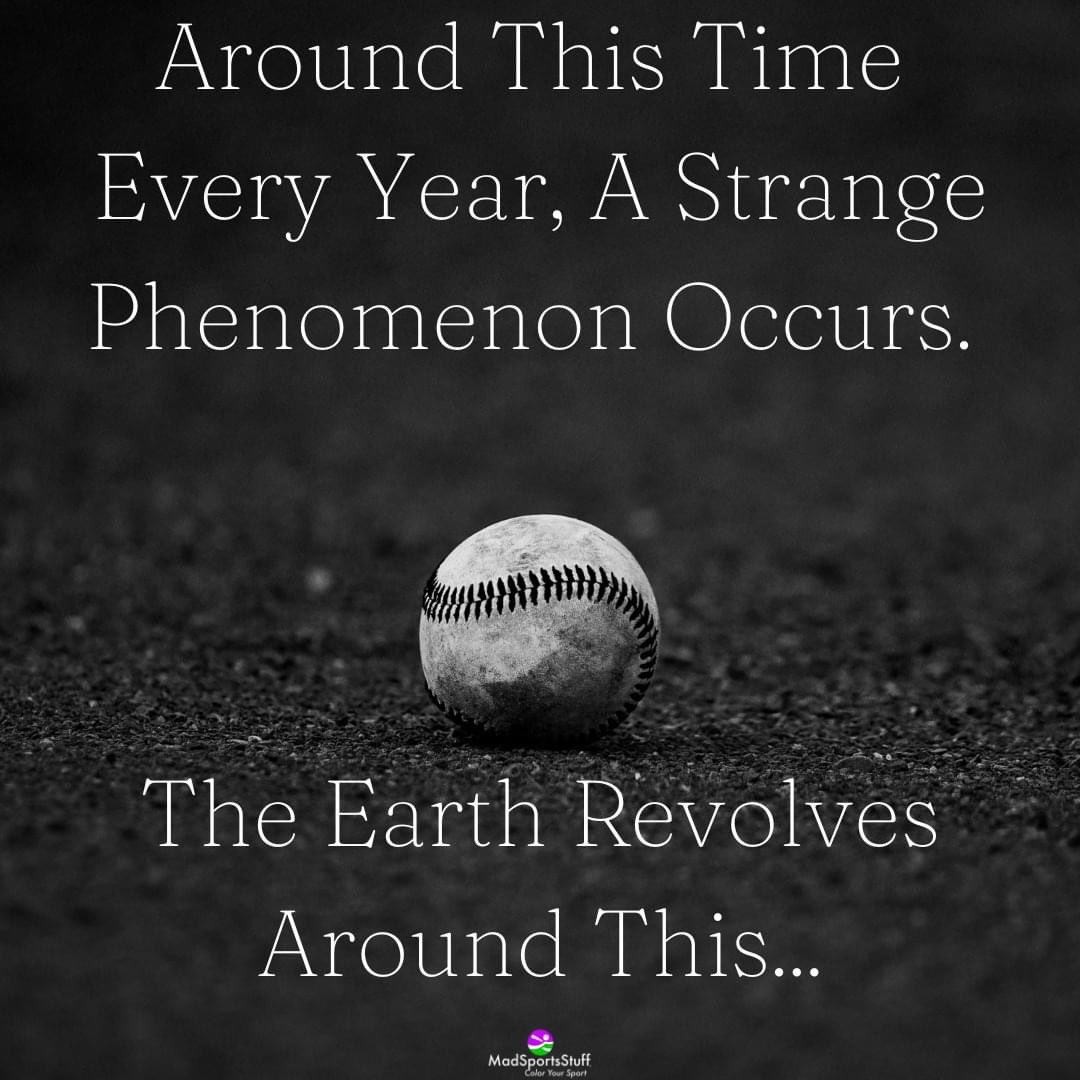 Felicia Furst tweet media