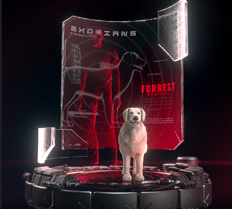 CivilAge77777's tweet photo. @EthernityChain #ERNArmy #digitalcollectible 
#ERNArmy #digitalcollectible 
@KriptoGfb
@DaveVescio 
Ethernity Metaverse: Forrest Forever https://t.co/7yBKFku7Fl