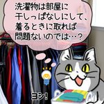 洗濯物は干しっぱなしでヨシ!ズボラライフハックを発見した現場猫!