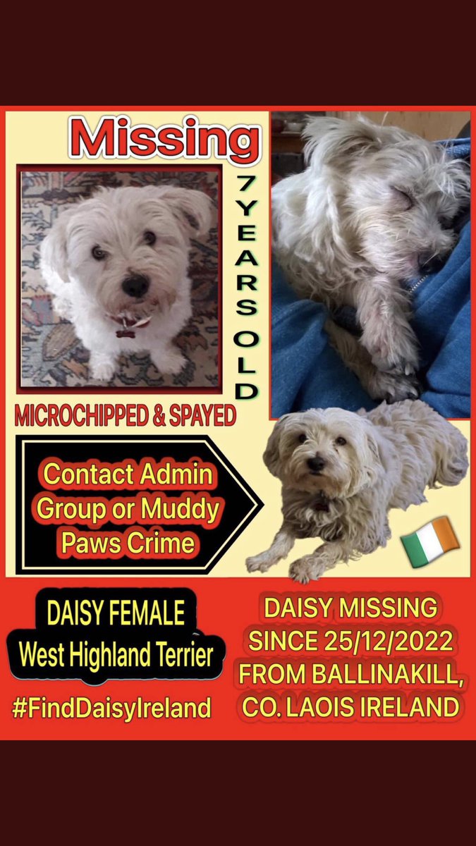 JacquiSaid's tweet photo. Let’s get this #Westiehome #FindDaisyIreland https://t.co/RFt9IR5cVh