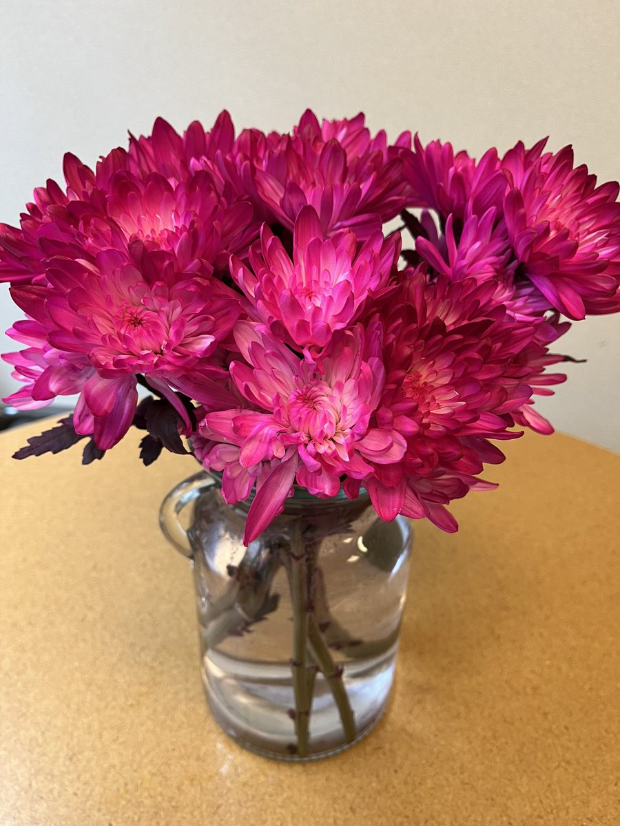 Excited for Spring! 💕