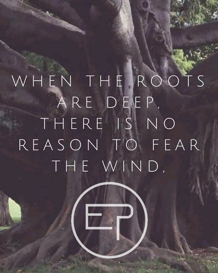 effadeparrot's tweet photo. WHEN THE ROOTS  ARE DEEP, THE IS NO REASON TO FEAR THE WIND.
#effadeparrot  #ThePreacher  #thekraken #epnation #ep https://t.co/s45dvgLp6s