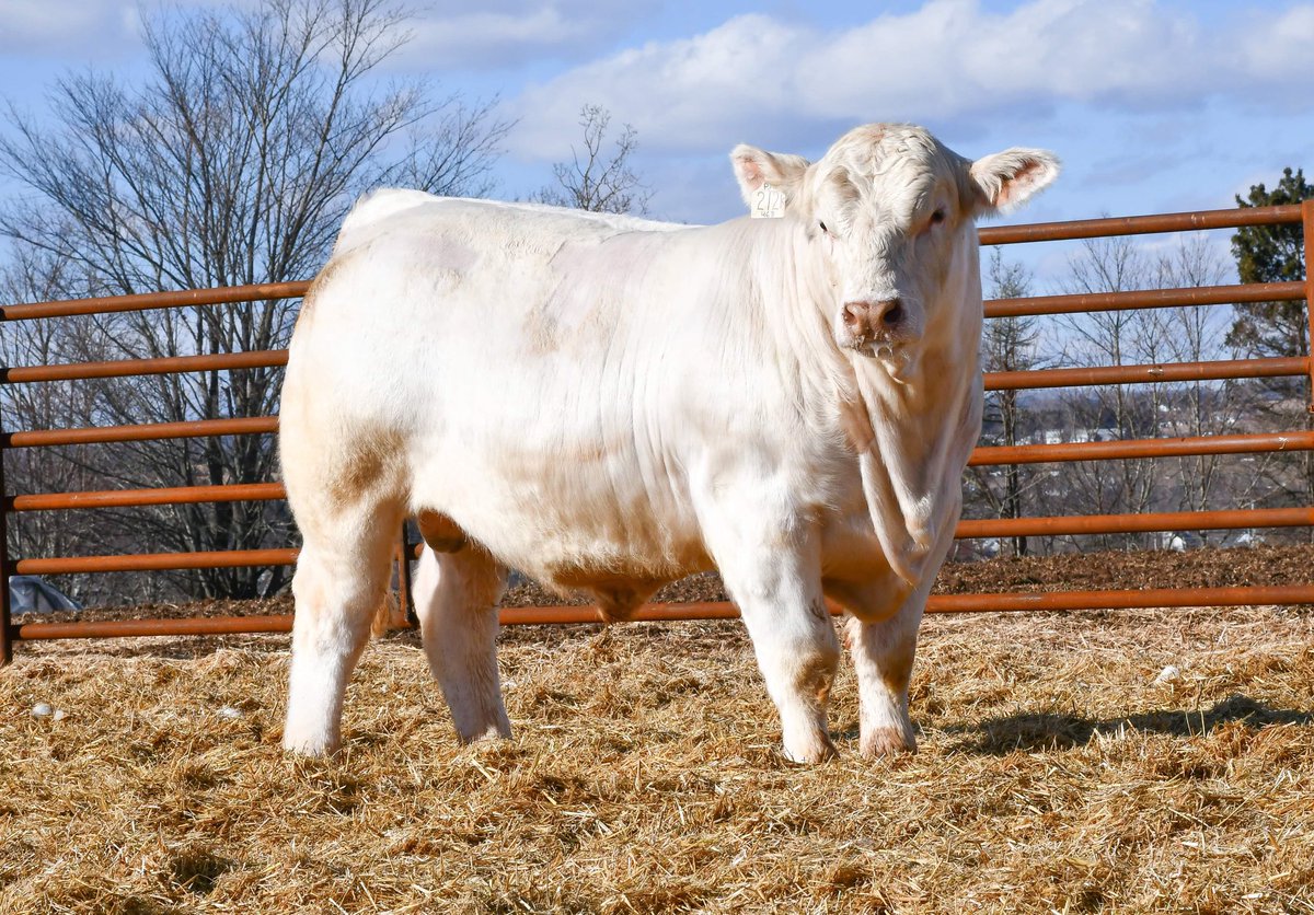 Robert Cooper tweet media