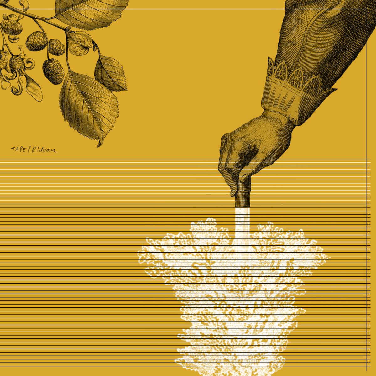 Conat1's tweet image. Mar Instr Playlist = @BronaMcVittie @CraigFortnam #AerialM @davidpajo @marylattimore + #JeffZeigler @biobiopatata @KamasiW @avonhausswolff @TreesSpeakMusic ++

bit.ly/3TdNsVV