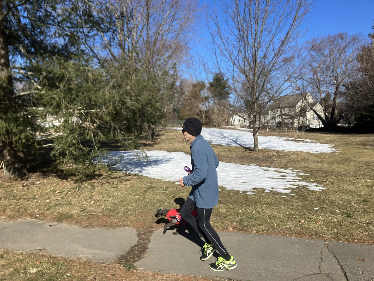 patrickecook's tweet photo. A brisk five-mile #RUN this a.m. with the #EStreeters - @ChewieCook is loving these distances, though today did present him with more telephone pole and fire hydrant pit stops than normal - @Scanlon65 @cborges_2004 https://t.co/jnrwy95SB8
