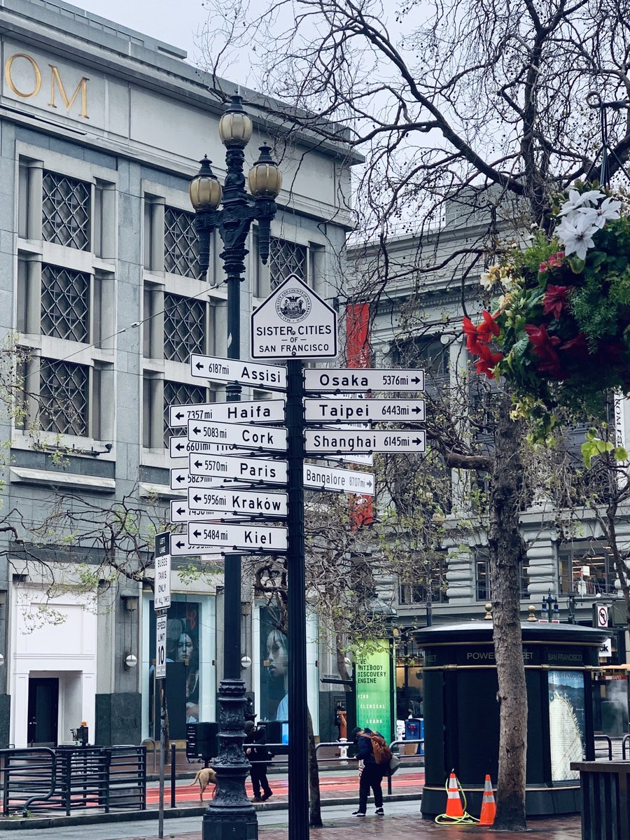 RovenaZanchet's tweet photo. It's all about choices... San Francisco, you are so beautiful! https://t.co/bwYI4nhVVK
