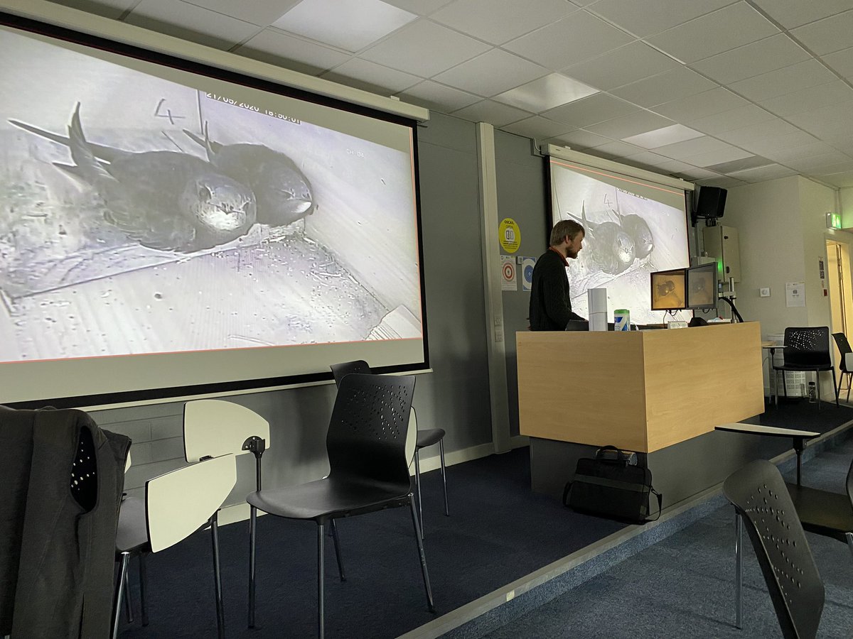 SamBayley2's tweet photo. Fabulous weekend of talks, networking, discussion, idea building and bird quiz in a brewery #corc2023. Amazing variety of Irish bird conservation projects and people @uccBEES @BirdWatchIE @BTO_NIreland @npwsBioData @_EURING @CopelandBirdObs @CCBOIE https://t.co/zReprqQxB7