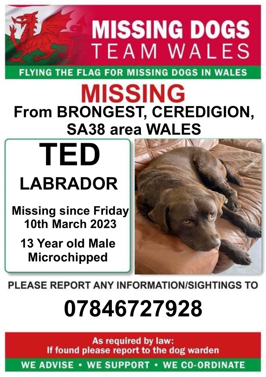missingdogwales's tweet photo. ‼️URGENT ‼️
TED #LABRADOR IS 13YRS OLD AND MISSING FROM #BRONGEST AREA #CEREDIGION #SA38 #WALES
Since Friday 10th March
‼️TED IS MICROCHIPPED SO PLEASE LOOK OUT FOR HIM
FAMILY VERY CONCERNED FOR HIS WELFARE NOW https://t.co/ByaztzfP9r