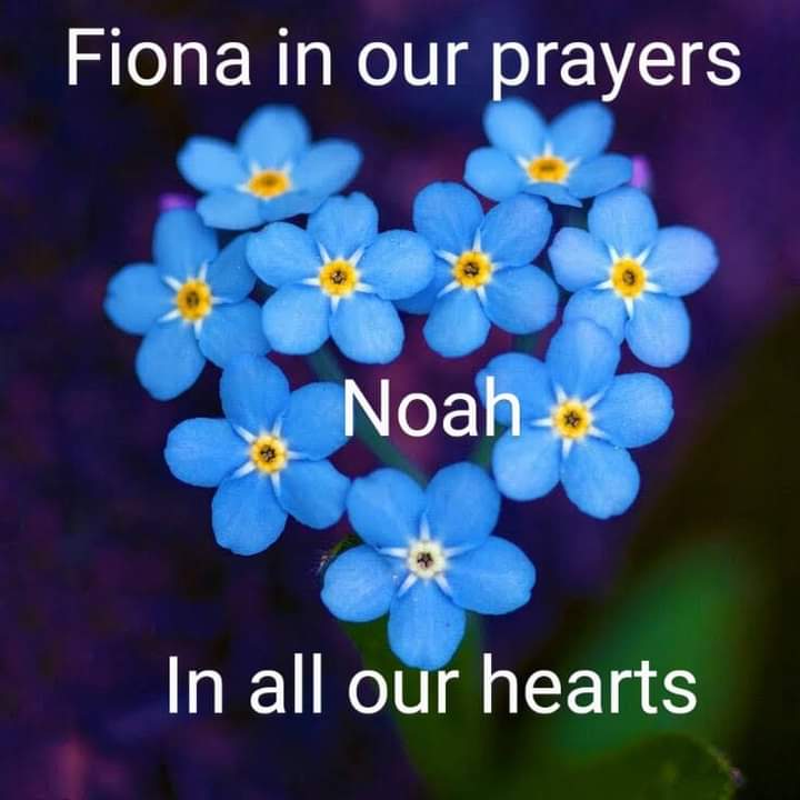 #Week142 
Noahdonahoe foundation 
Noahs army ⚡️💙
Why who an wat happened to noah 💙
We need truth an most of all 
JUSTICE for noah💙🙏💙