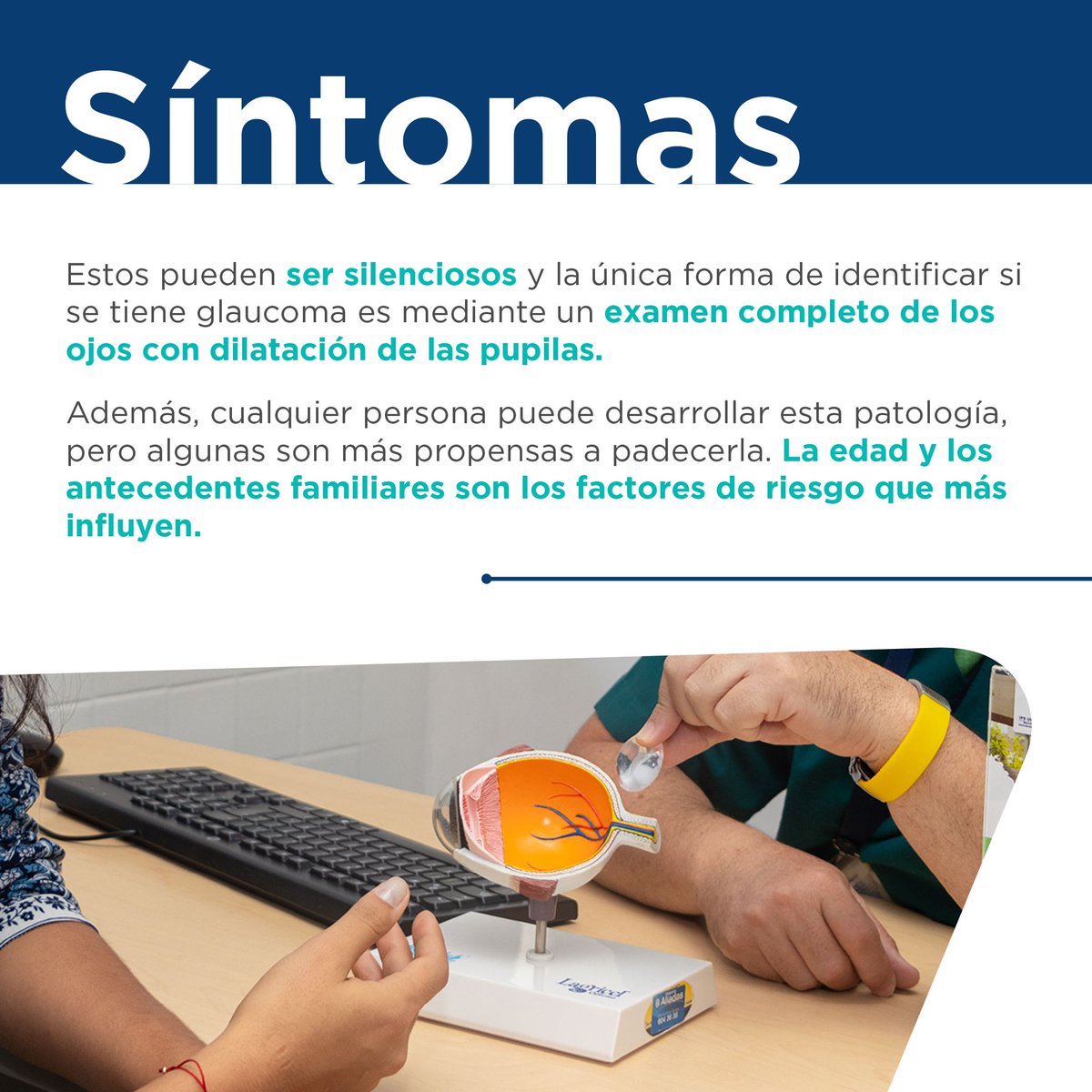 HospAlmaMater's tweet photo. El glaucoma es una afección en los ojos que daña el nervio óptico hasta causar ceguera, pero en el 90% de los casos podría evitarse si acudes a revisiones periódicas. En el #DíaMundialDelGlaucoma nuestro oftalmólogo Jorge Hernán Zapata nos explica más detalles de esta enfermedad. https://t.co/f6z64EF8iL