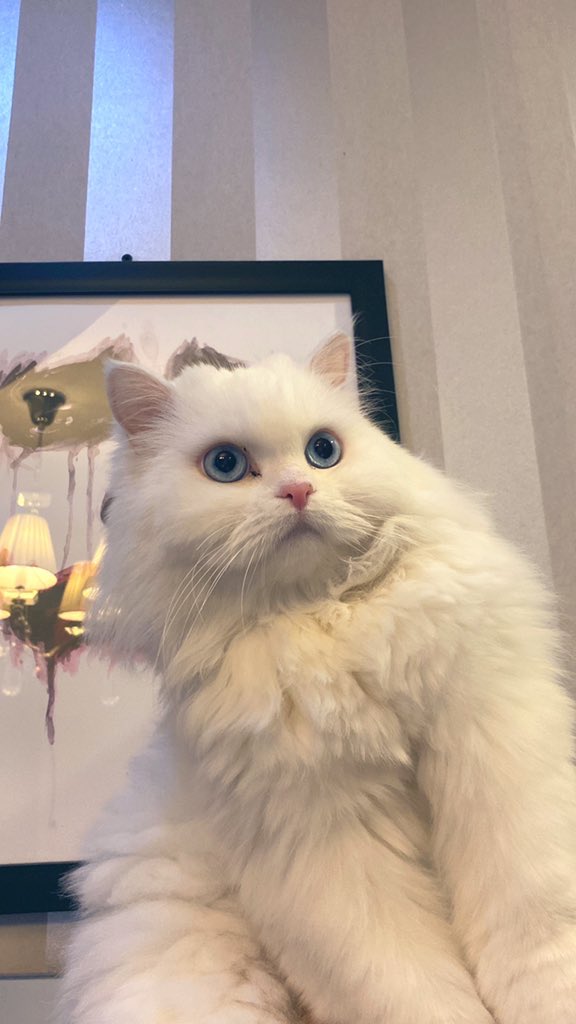 D7MiWTF's tweet photo. https://t.co/9WxjV1E6B7