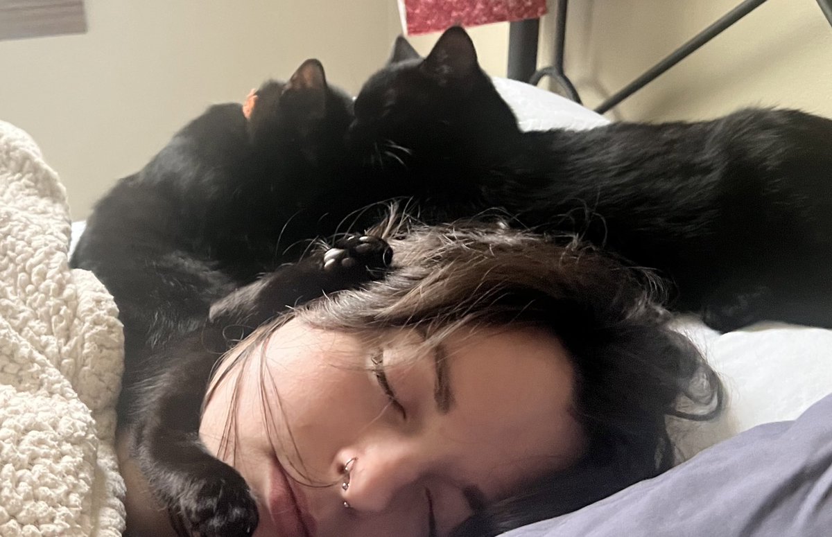 karrwreck's tweet photo. Cat update, because they’re my entire personality now:
They still sleep on my head https://t.co/Zgv9By0h2q