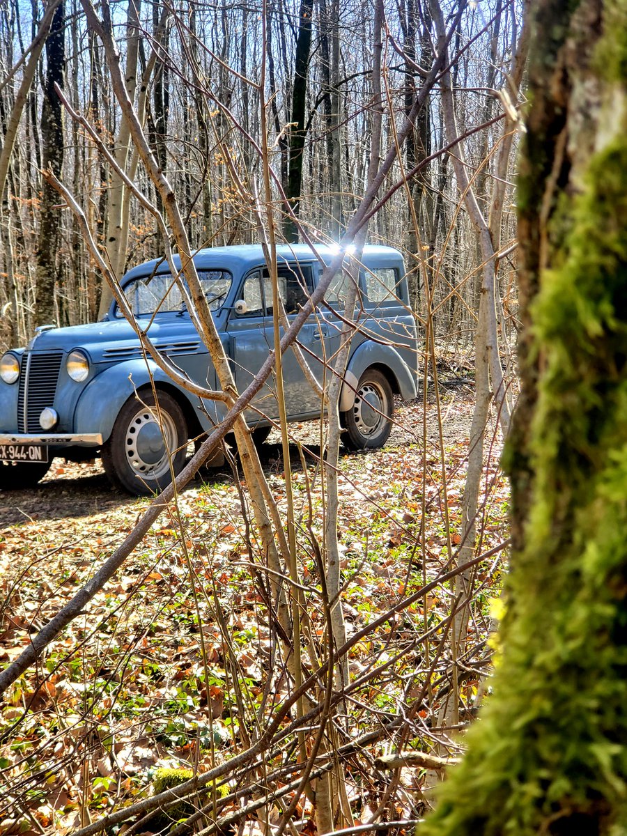 LeNordMeusien's tweet photo. C'était un beau #samedi dans la #Meuse en #juva4 #renault ... #soleil #couleurs #foret #bois #plaisir https://t.co/s5YRfcLHKO