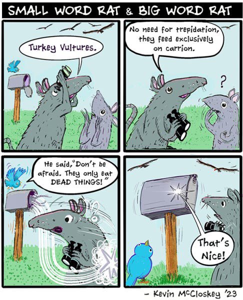 Mailboxes make good hiding places — take it from Small Word Rat! 📫🐀 🎨: Kevin McCloskey Subscribe at sundayhaha.com