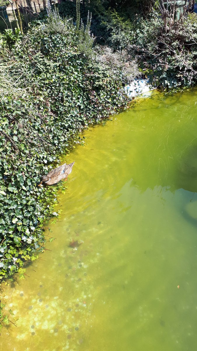 Trading pets for follows

1 follow = pet wear
3 follows = common and food
10 follows = rare and a cool toy
20 = ultra rare and pet wear
50 = legendary and vehicle

#adoptmetrade #adoptmetrades #adoptmecrosstrade #adoptmecrosstrades #adoptmeoffer #adoptmeroblox #adoptmepetsitting