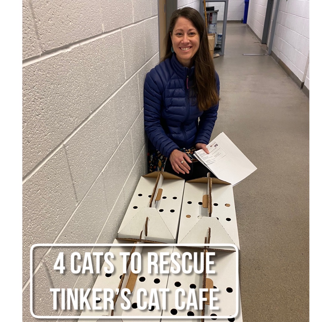SLCoAnimals's tweet image. #thankyou this week to @SLCoAnimals rescue partners for helping shelter pets: @tinkerscatcafe and Friends of Community Cats #adoptutahpets #slco