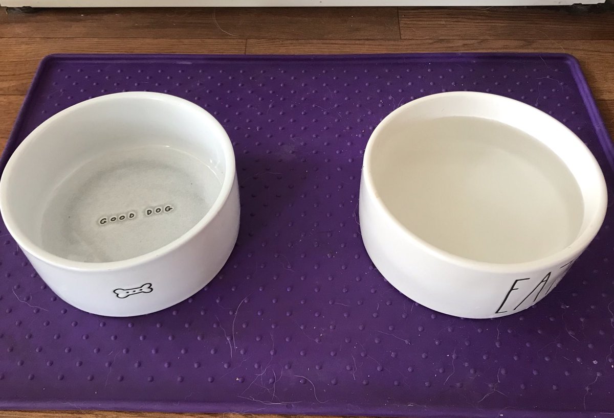 Welcome to your dog’s favorite day of the year, when they get fed one hour early.