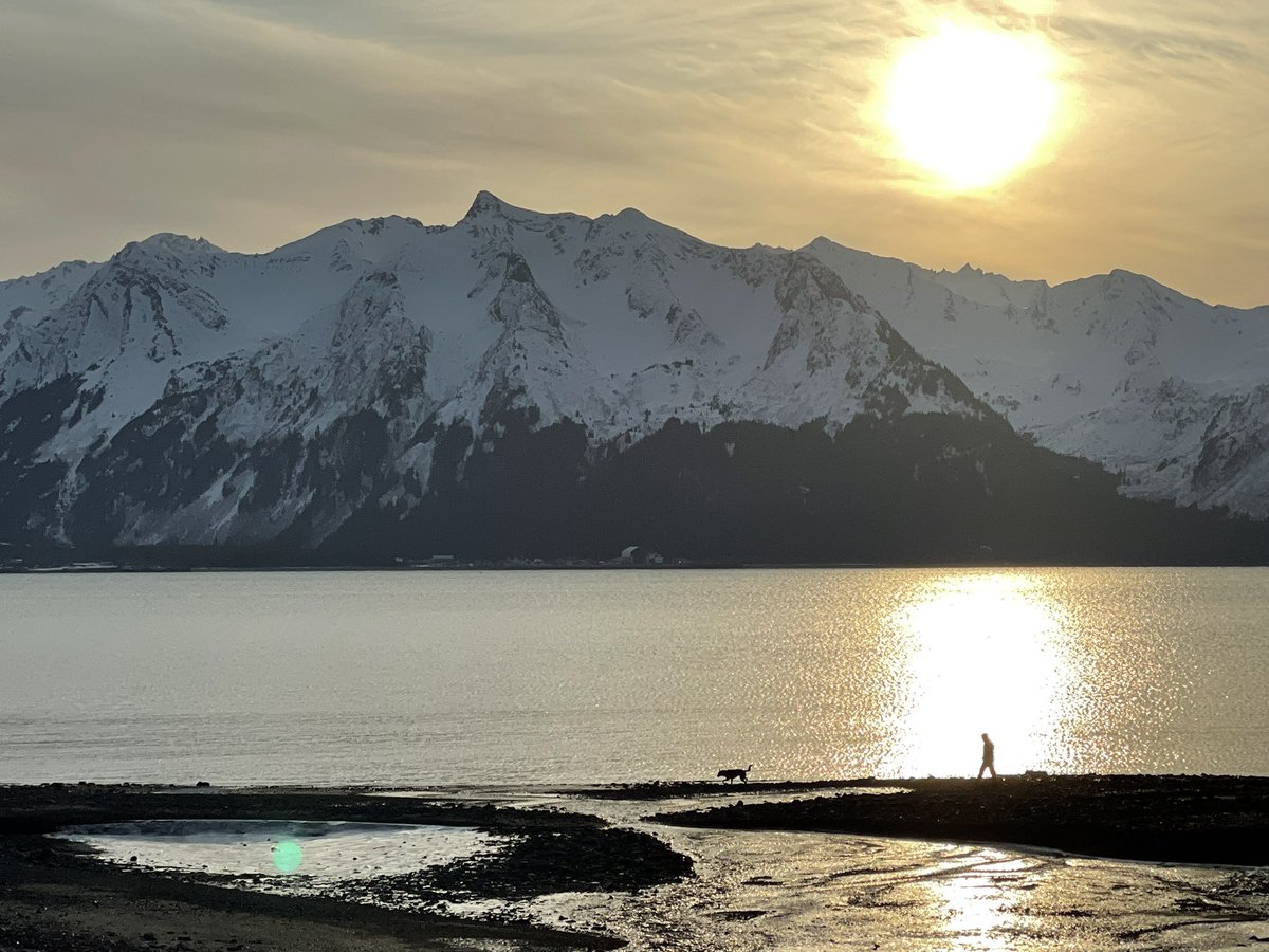 Chris Opitz tweet media