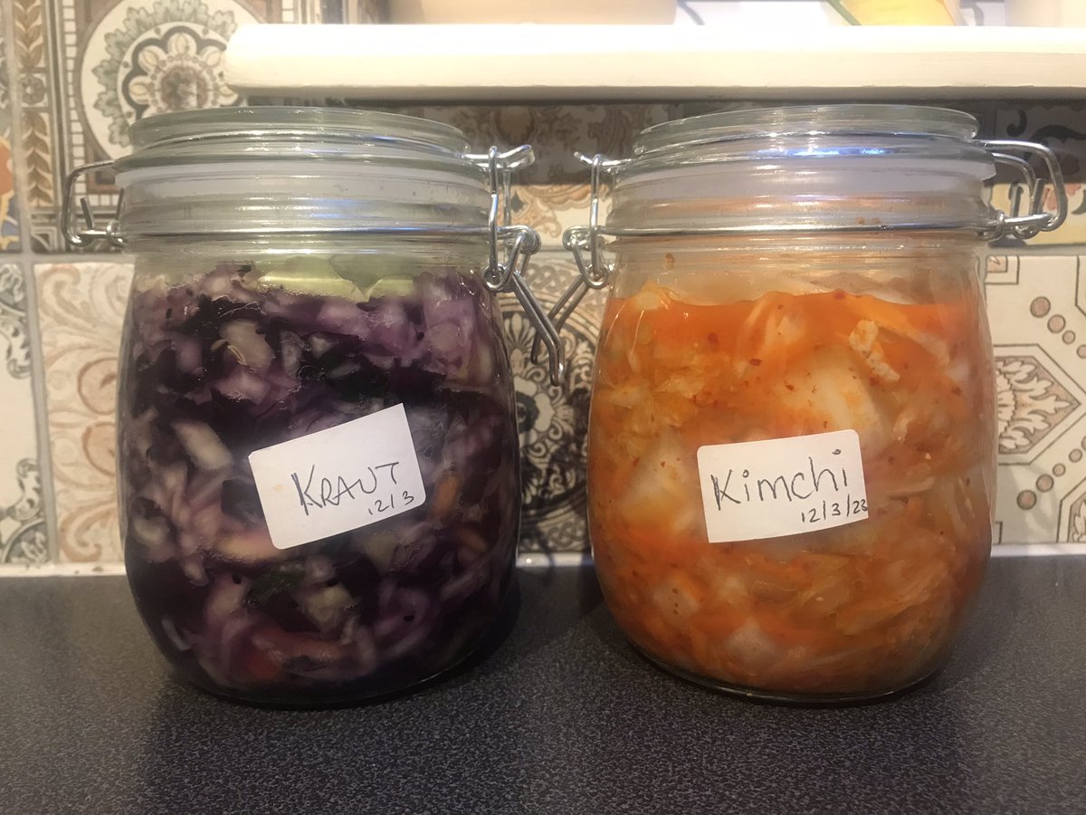 Every day’s a school day, and todays lesson was how to make Kraut & Kimchi with the knowledgable @Craftypickleco. Just need to remember to burp these babies over the next few days before we dive in 
#SirFynwy #Monmouthshire